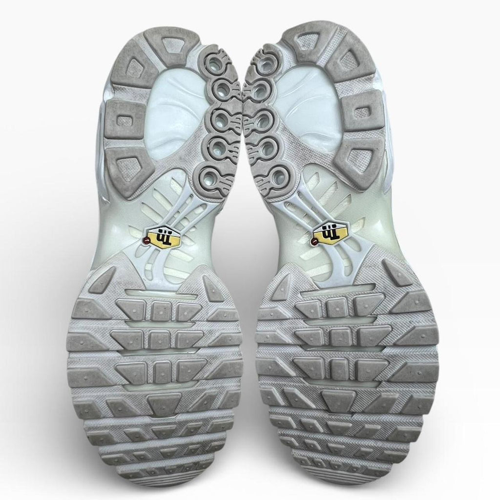 Nike X Supreme TN Plus